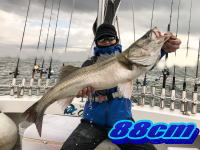 オーシャンマスター 釣果