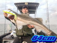 オーシャンマスター 釣果