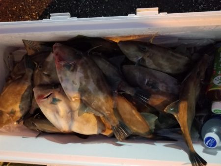 オーフリー 釣果