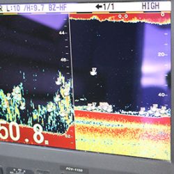 松本釣船２ 釣果