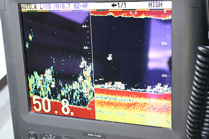 松本釣船２ 釣果