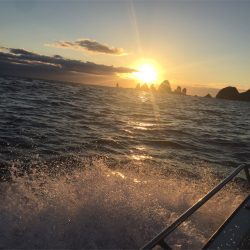 マタウマリンサービス 釣果