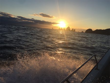 マタウマリンサービス 釣果