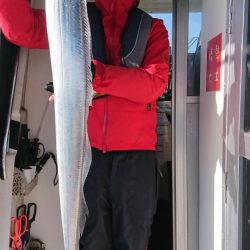 オーフリー 釣果