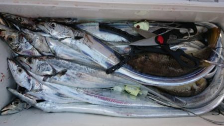 オーフリー 釣果