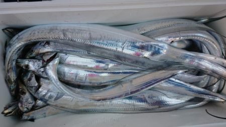 オーフリー 釣果