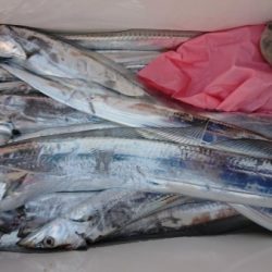 オーフリー 釣果