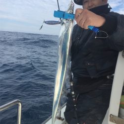 マタウマリンサービス 釣果