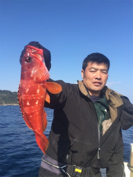 マタウマリンサービス 釣果