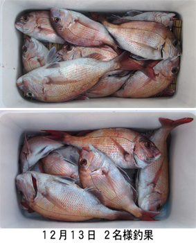 来温丸（らいおんまる） 釣果