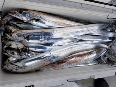 オーフリー 釣果