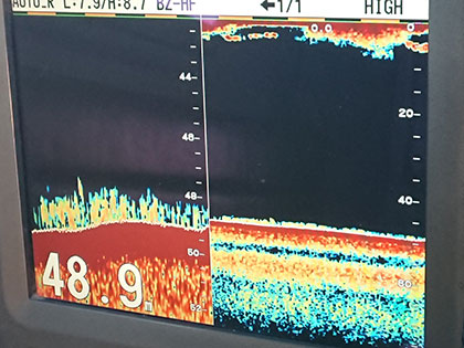 松本釣船２ 釣果