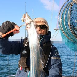 松本釣船２ 釣果