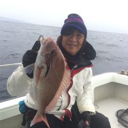 マタウマリンサービス 釣果