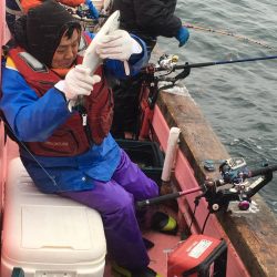 第八平成丸 釣果