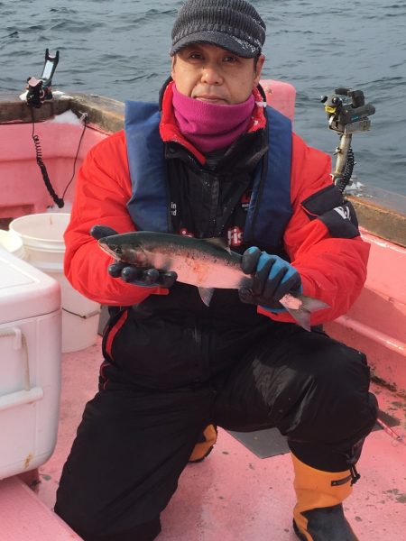 第八平成丸 釣果