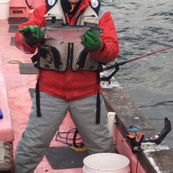 第八平成丸 釣果