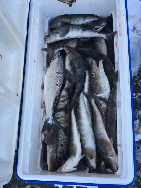 第八平成丸 釣果