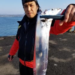 オーフリー 釣果