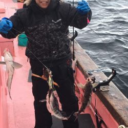 第八平成丸 釣果