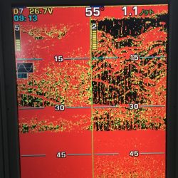 第八平成丸 釣果
