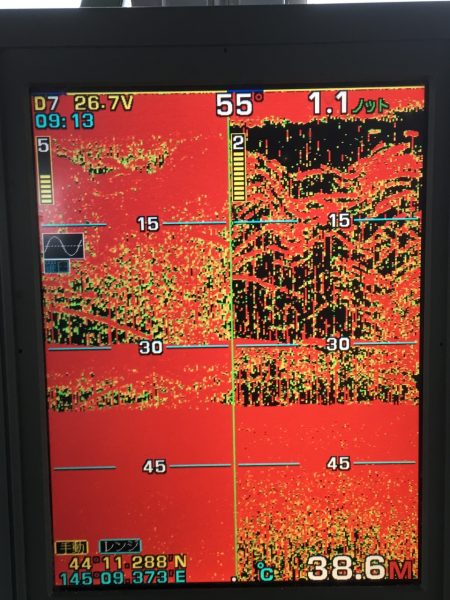 第八平成丸 釣果