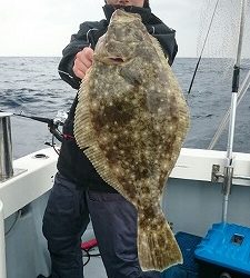 海龍丸（福岡） 釣果
