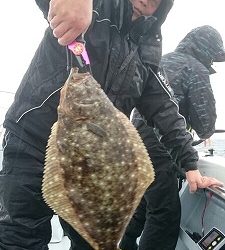 海龍丸（福岡） 釣果