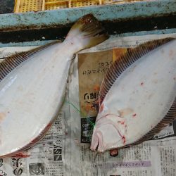 明神釣船 釣果