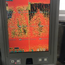 第八平成丸 釣果