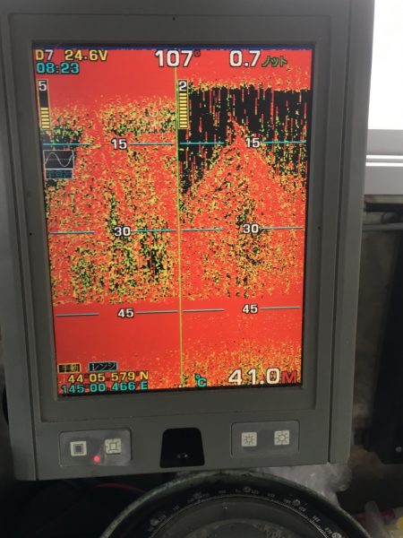 第八平成丸 釣果