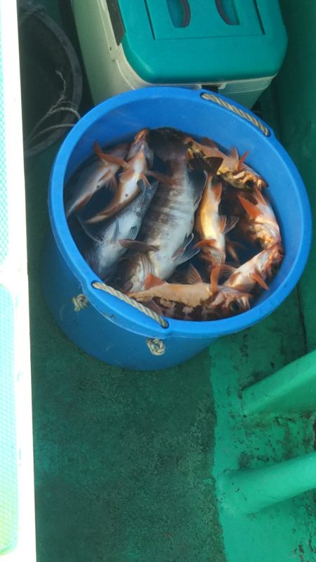 モンロー号 釣果