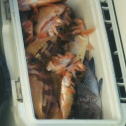 モンロー号 釣果