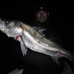 ルアー船マヒマヒ 釣果