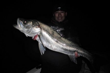 ルアー船マヒマヒ 釣果