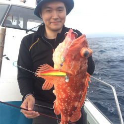 マタウマリンサービス 釣果