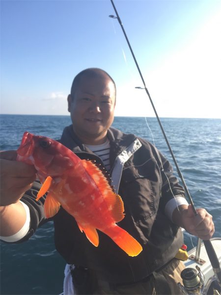 マタウマリンサービス 釣果