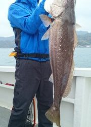 愛裕南丸 釣果