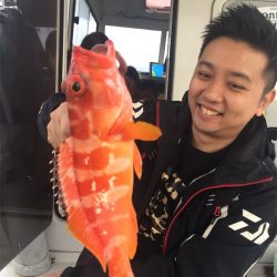 マタウマリンサービス 釣果