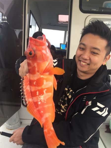 マタウマリンサービス 釣果