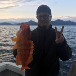 マタウマリンサービス 釣果