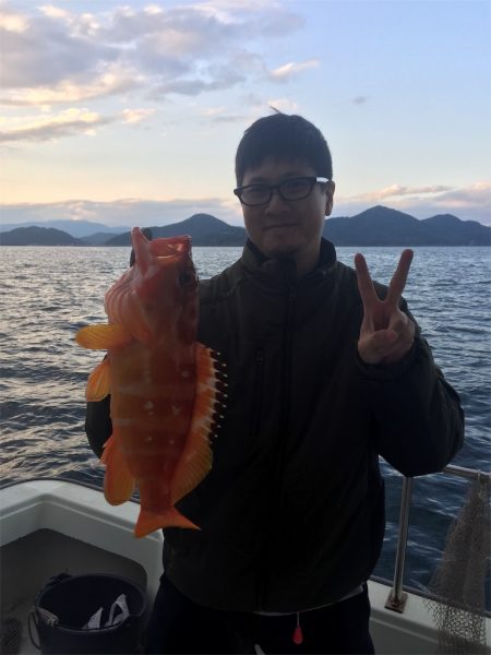 マタウマリンサービス 釣果