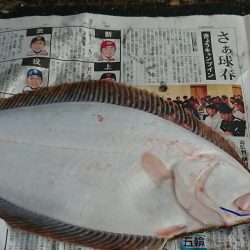 明神釣船 釣果