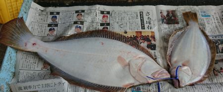 明神釣船 釣果