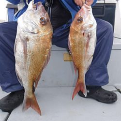 松本釣船２ 釣果