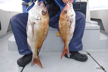 松本釣船２ 釣果