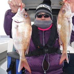 松本釣船２ 釣果