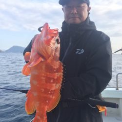 マタウマリンサービス 釣果