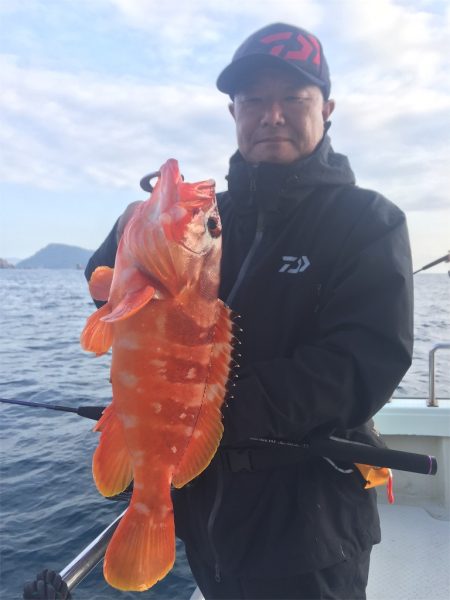 マタウマリンサービス 釣果