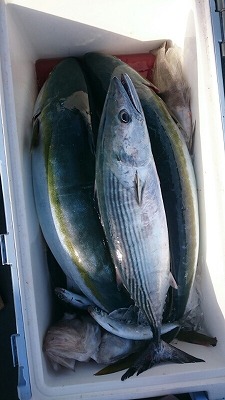 海龍丸（福岡） 釣果